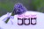 FBDSC_1701.jpg